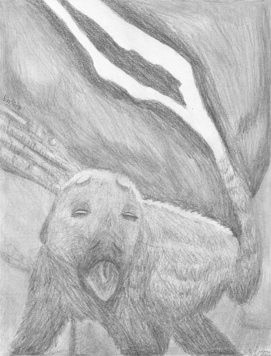 Trico Lightning (2021)