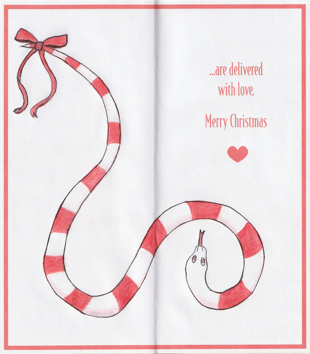 Candy Cane Snake